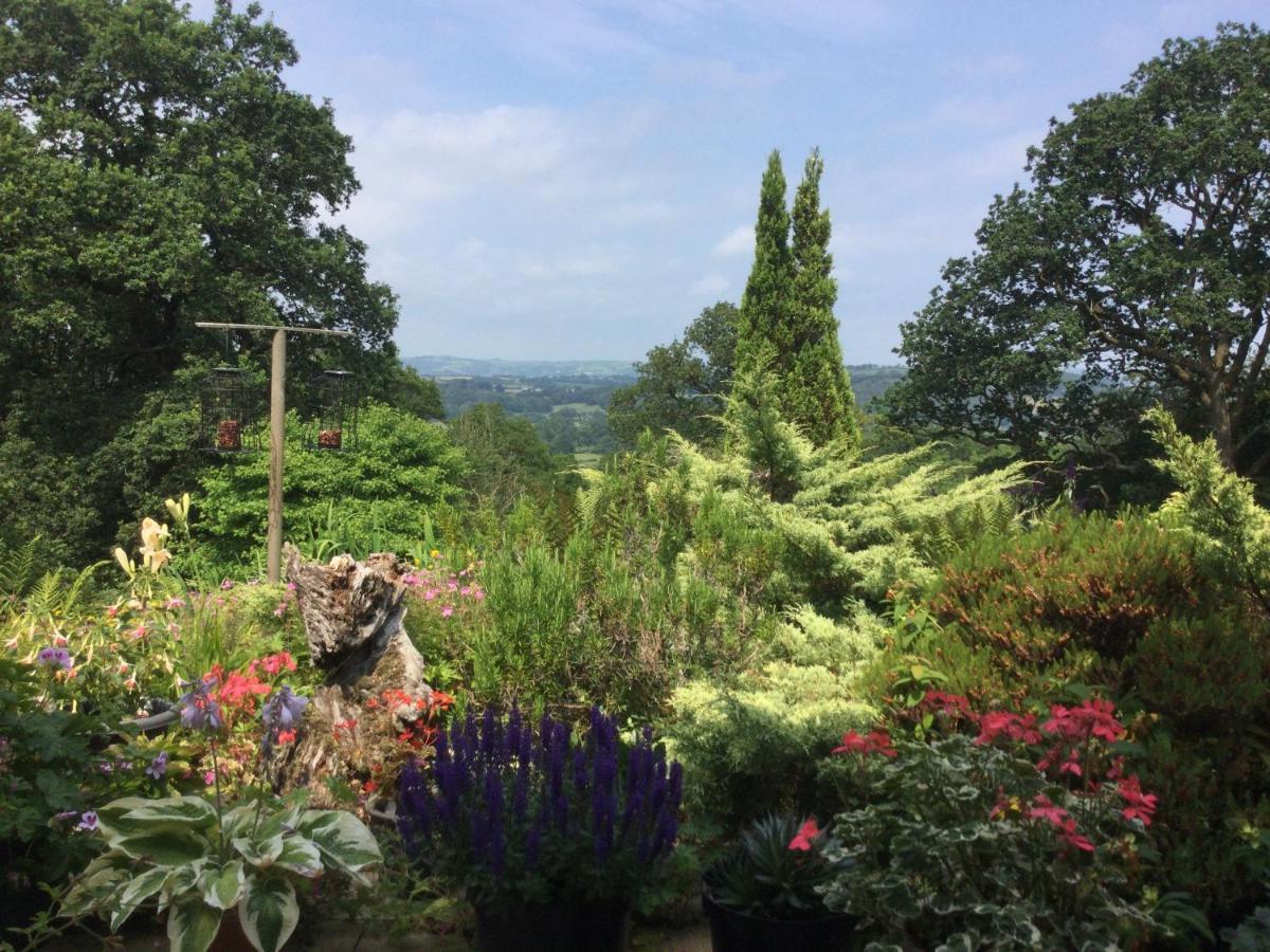 Dwynant - A Room With A View Llangathen Exterior foto