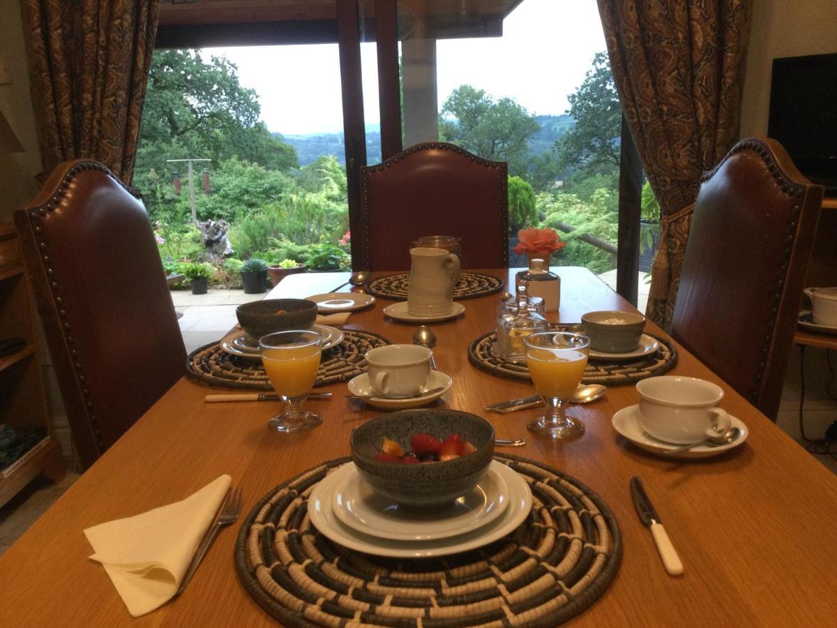 Dwynant - A Room With A View Llangathen Exterior foto