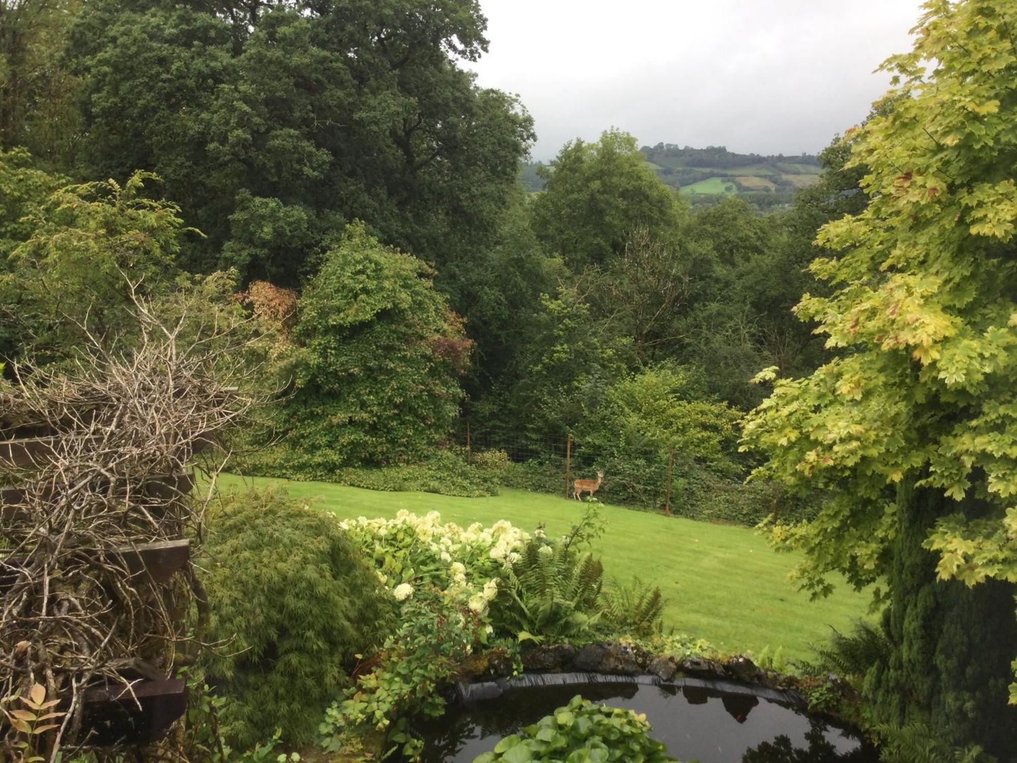Dwynant - A Room With A View Llangathen Exterior foto